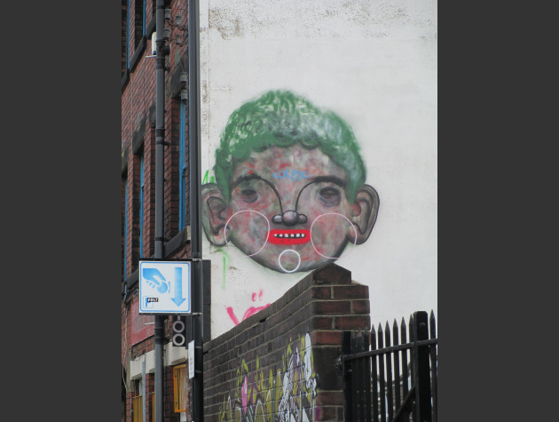 Face wall mural